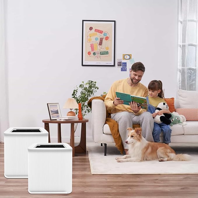 2 Pack 211+ Replacement Filter Compatible with 211 Air Puri-Fier， Activated Carbon 211 Filter