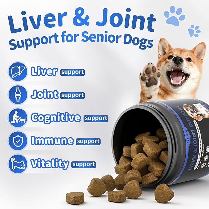 Liver Health Supplement for Senior Dogs - Joint Health Support with Silybum Marianum, SAMe, Krill Oil, Glucosamine, B Vitamins Complex, MSM, Choline for Old Dogs, Chicken Flavor - 60 Soft Chews