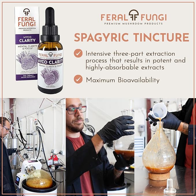 Myco-Clarity Extract – Lion’s Mane, Reishi & Cordyceps – Triple-Extracted Spagyric Tincture for Mental Clarity and Focus – 100% Fruiting Body – Natural Flavor – Made in The USA – 1oz