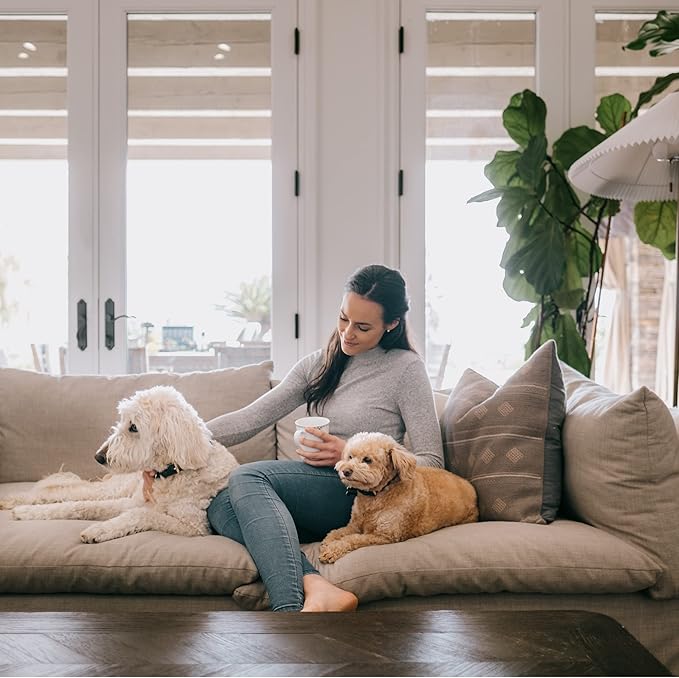 NU Aqua Brushed Nickel Designer Reverse Osmosis Faucet