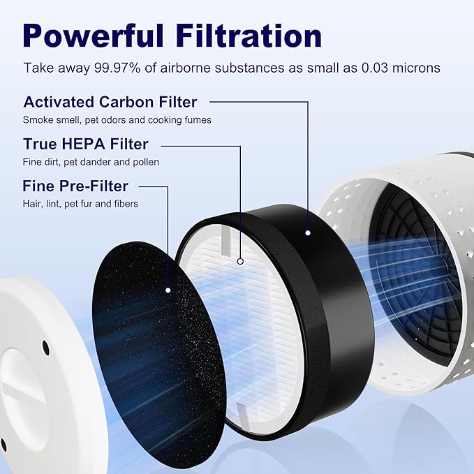 LV-H132 Replacement Filter for LEVOIT LV-H132 Air Puifier, 3-in-1 Nylon Pre-Filter, H13 True HEPA Filter, High-Efficiency Activated Carbon Filter, Part # LV-H132-RF, 3 Pack