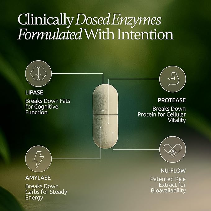 Digestive Enzymes | 40,000 USP Lipase - Prescription Strength Pancreatic Enzyme Replacement Formula for Fat Digestion, Gut Health & Nutrient Absorption - Fermented, Vegan, High Potency