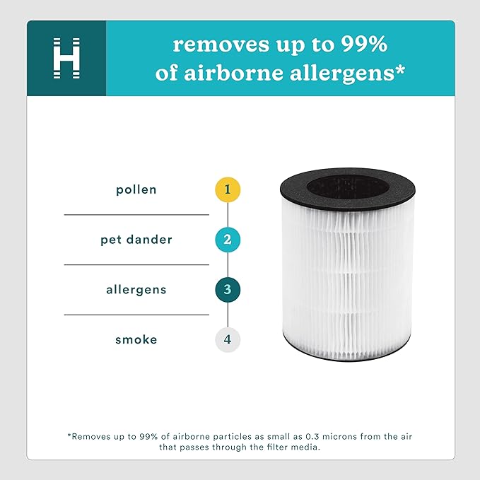 Homedics TotalClean 3-in-1 HEPA-Type Air Purifier Filter Replacement, Works with Homedics AP-T20, AP-T20WT and AP-T22 Air Purifiers, Captures Microscopic Airborne Particles