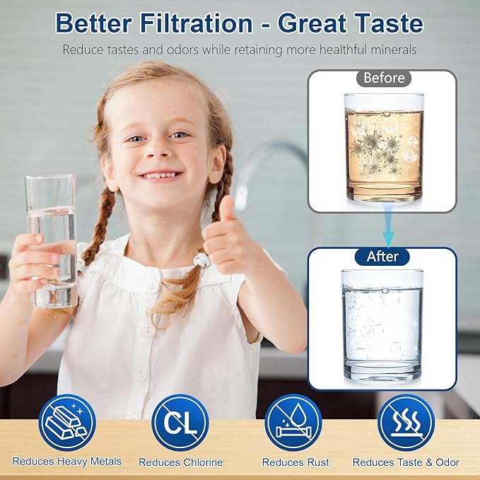 Water Filter Replacement for Berkey Water Filter System, 4 Black Elements Activated Carbon Filters, Compatible with Berkey Gravity Water Filtration System, 4 Pack