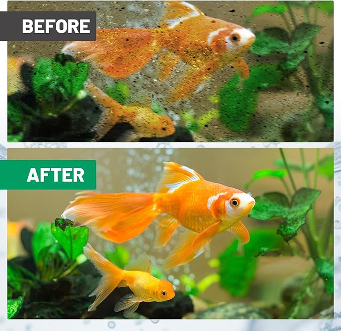 10 Count Medium Filter Cartridges Compatible with Whisper Bio Bag Filters, Large Aquarium Filter Cartridge for Whisper 10i/IQ10/PF10 and Repto Filter 90 GPH