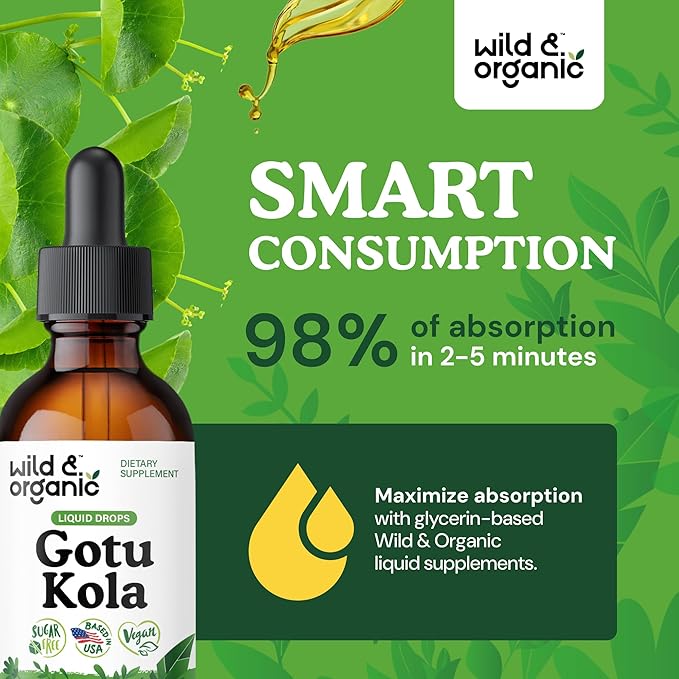 Wild & Organic Gotu Kola Herb Tincture - Brain Support - Gotu Kola Liquid Extract Drops - Vegan, Sugar & Alcohol-Free Centella Asiatica Supplement - 2 fl oz