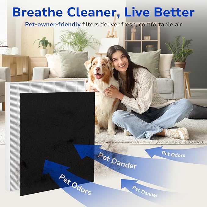 2-Pack C535 Replacement Filter A Kit Compatible with Winix C535, 5300-2, P300, 5300, Repalce 115115