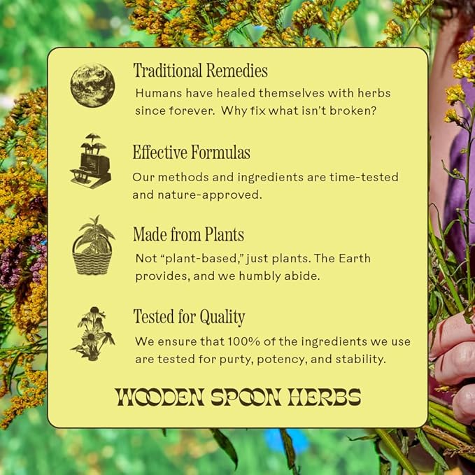 Wooden Spoon Herbs - Refreshing Lemon-Ginger Immune Support Drink Mix | Includes Immunity Boosting Organic Elderberry, Echinacea, Plant-Sourced Zinc & Vitamin C | 10 On-The-Go Sachets (1 Carton)