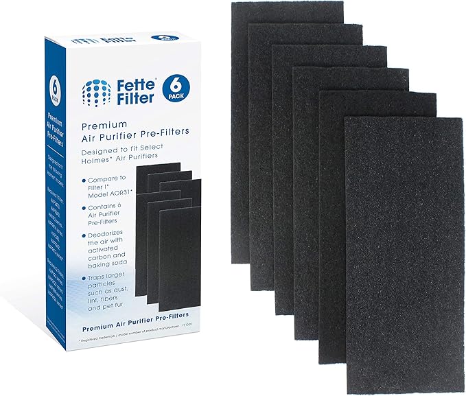 Fette Filter - Replacement Carbon Pre/Post Filters compatible with Holmes Air Purifiers - Compatible with Part AOR31 Filter I includes 6 Premium Activated Carbon