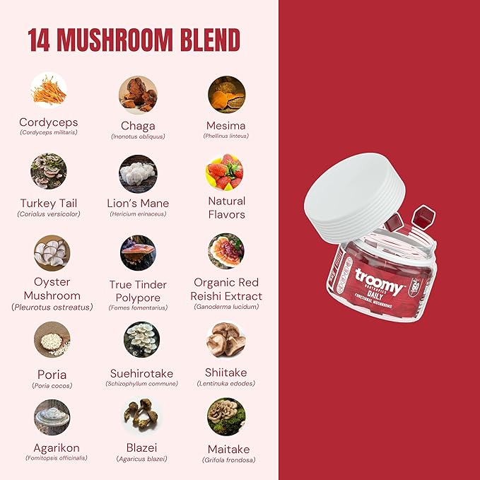 Troomy Daily 14 Mushroom Blend Gummies - Great Tasting Natural Mango Strawberry Flavor, Gelatin-Free, Gluten-Free, Vegetarian - 60 Count