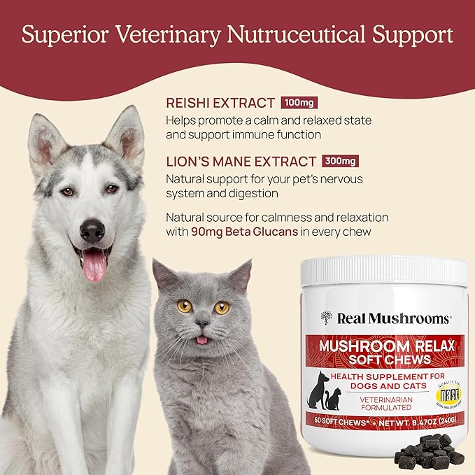 Real Mushrooms Calming Treats for Dogs & Cats – Reishi, Lion’s Mane, Botanicals – Cat & Dog Soft Chews for Daily Use – Calming Chews for Cats & Dogs – 60 ct Grain-Free Pet Bites