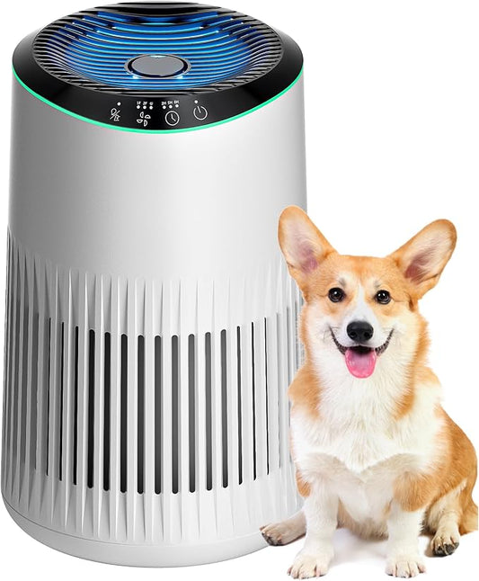 Air Purifiers for Bedroom Home, Air Purifier for Smoke Odors with Fragrance Sponge, Small Air Purifier with Sleep Mode for Bedroom Office, Blue Night Light, White, 1 Pack+3 Modes