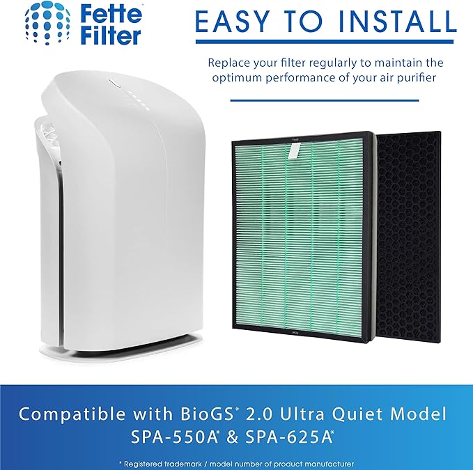 Fette Filter - Air Purifier Replacement Set Compatible with BioGS 2.0 Filter Kit for Model SPA-550A and SPA-625A Contains 1 Hepa Filter & 1 Carbon Filter