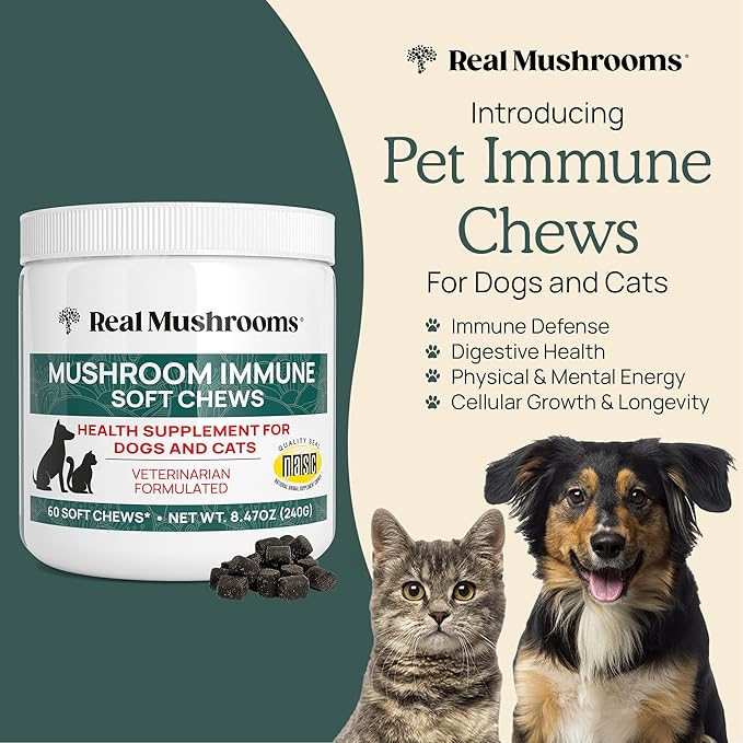 Real Mushrooms Soft Chews for Pets – Functional Treats with Reishi, Olive Leaf, Ashwagandha Blend – Cats & Dogs Vitamin Bites– Mushroom Supplement for Dogs & Cats Wellness Support, 60 Count