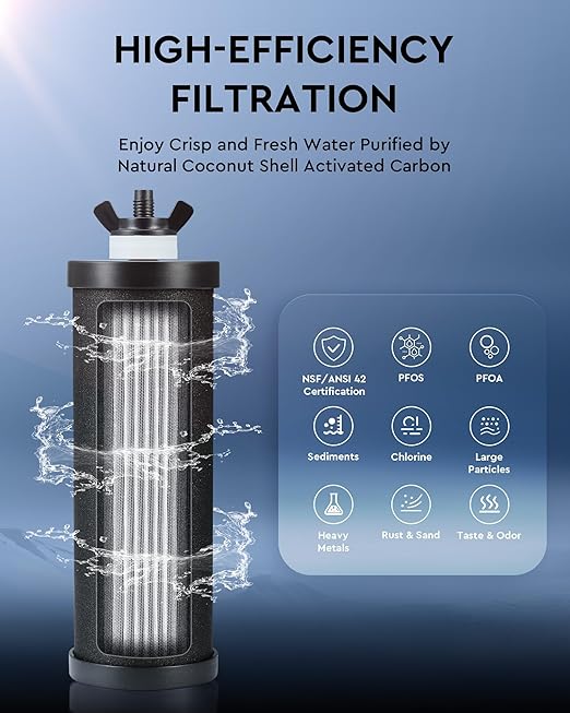 CO-Z Gravity Fed Water Filter System, Stainless Steel Gravity Water Purifier with 2 Carbon Filters, 2.25 Gal Countertop Water Filtration System, Chamber Stand & Water Spigot, NSF/ANSI 42 Certification