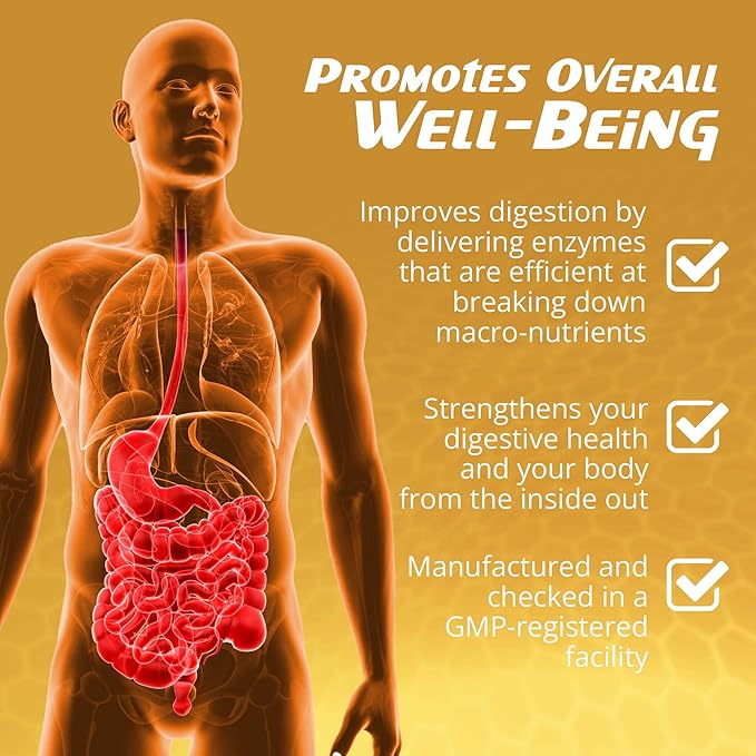 CalmBelly, Helps Normalize Digestive Processes Support Active Enzymes, Probiotics for Digestive Health Supplements for Women and Men, Formula for Overall Wellness 60 Count (Pack of 1)