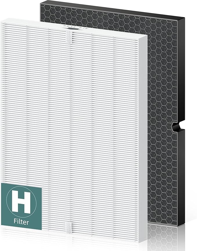 116130 Replacement Filter H for Winix 5500-2 AM80 Plasmawave Air Purifier, True HEPA Filter and Activated Carbon Filter Combo Pack, 1 Set