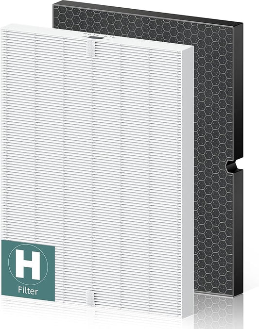 116130 Replacement Filter H for Winix 5500-2 AM80 Plasmawave Air Purifier, True HEPA Filter and Activated Carbon Filter Combo Pack, 1 Set