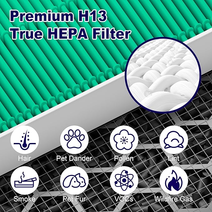 116130 Toxin Absorber Replacement Filter H for Winix 5500-2 AM80 Plasmawave Air Purifier, True HEPA Filter and Activated Carbon Filter Combo Pack, 2 Set, Green