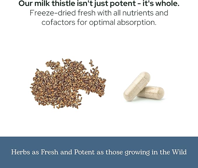 Eclectic Herb - Premium Freeze Dried Milk Thistle Capsules | Dietary Supplement | Liver Support, Detox, Cleanse + Maintain | Natural, Non-GMO, Vegan (240 CT | 600 mg)