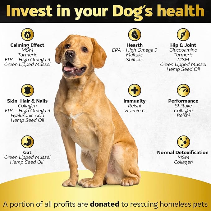 Soft Chews Hip and Joint Supplement for Dogs - Dog Joint Pain Relief Treats - Glucosamine, Chondroitin, Turmeric- Mobility Supplement (Hip & Joint + Skin & Coat, Bacon - 30 Soft Chews)