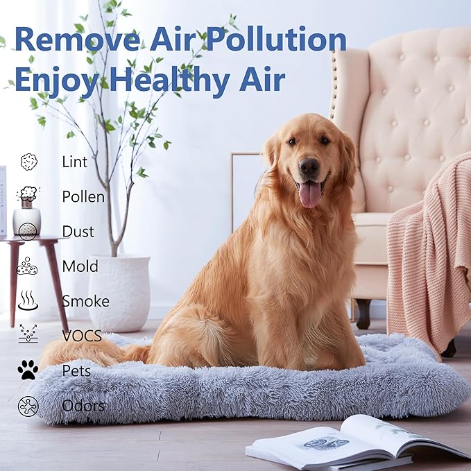 FLT4825 HEPA Filter B Replacement for Guar.dian Air Purifier AC4825 AC4300 AC4800 AC4900 AC4850, 4 HEPA Filter and 6 Pre-Filter by NISHCON