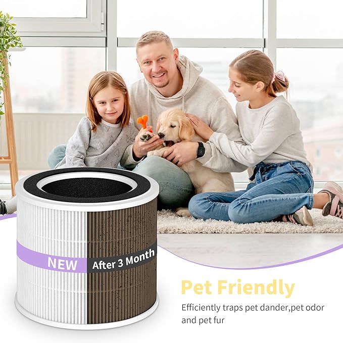 2 Packs AP100-A/B Air Filter Compatible with AromaRoom AP100-A White / AP100-B Black Air Cleaner Purifier,2 Packs 3-in-1 AP100-A Premium Replacement Filters and Extra 8 Packs Aroma Pads