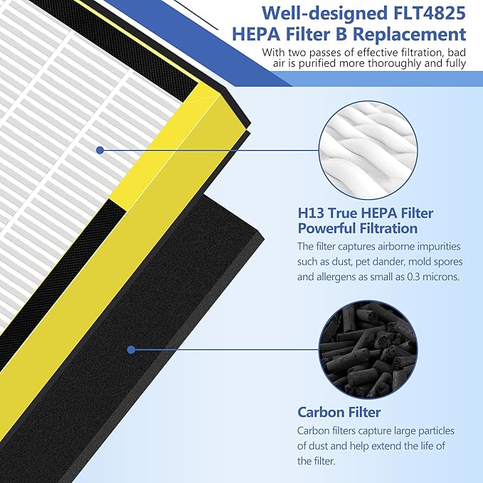 FLT4825 HEPA Filter B Replacement for Guar.dian Air Purifier AC4825 AC4300 AC4800 AC4900 AC4850, 2 HEPA Filter and 8 Pre-Filter by NISHCON