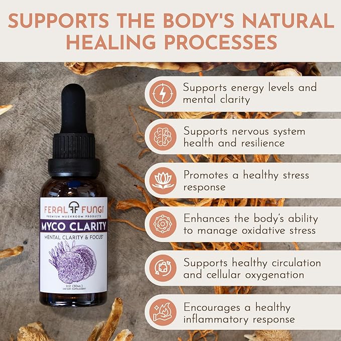 Myco-Clarity Extract – Lion’s Mane, Reishi & Cordyceps – Triple-Extracted Spagyric Tincture for Mental Clarity and Focus – 100% Fruiting Body – Natural Flavor – Made in The USA – 1oz