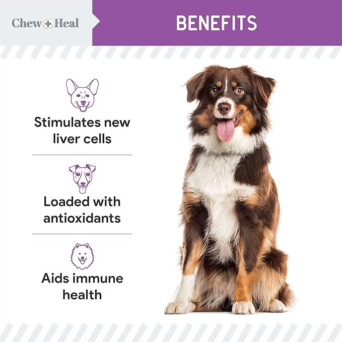 Milk Thistle for Dogs Liver Support - 4 oz Liquid Milk Thistle Supplement for Kidney and Liver Support - with Wild Alaskan Salmon Oil and Moringa Oil - Made in USA