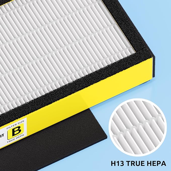 Filter B, FLT4825 Filter Replacement for Guardian AC4825 AC4825E AC4300 AC4800 AC4850 Air Purifier – 2 True HEPA Filters & 6 Pre-Filters (2-Pack)