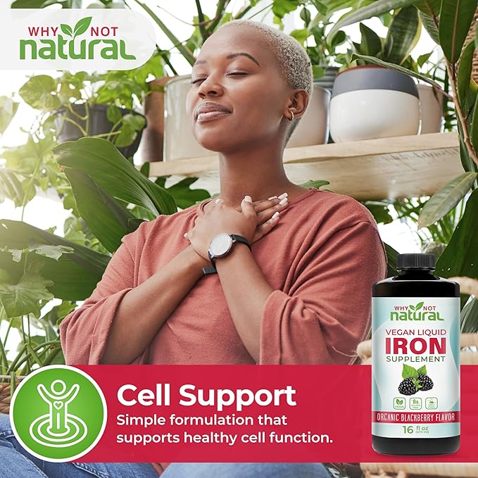 Why Not Natural Liquid Iron Supplement for Women, Men and Kids, Vegan Formulation for Anemia, Sugar Free, Vegan, Non-GMO, Organic BlackBerry Flavor 16 Fl Oz