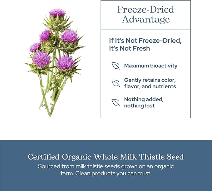 Eclectic Herb - Premium Freeze Dried Milk Thistle Capsules | Dietary Supplement | Liver Support, Detox, Cleanse + Maintain | Natural, Non-GMO, Vegan (240 CT | 600 mg)