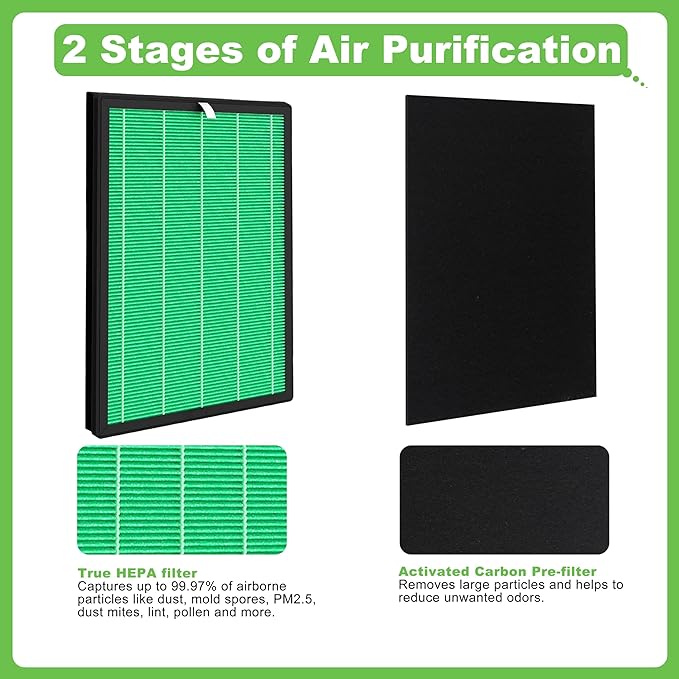 Airmega 150 Filter Replacement, Compatible with Coway Airmega 150 (AP-1019C) & Airmega 160 Air Purifiers, 2 True HEPA and 8 Enhanced Activated Carbon Filters, AP-1019C-FP