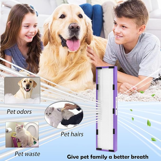 FLT5250PT True HEPA Replacement Filter C Pet Compatible with GermGuardian Air Purifier AC5250PT, AC5000E, AC5300B,AC5350W,AC5350B,CDAP5500BCA,CDAP5500WSP,BXAP250,IAP-GG-125,2 HEPA+ 6 Pre-Filter