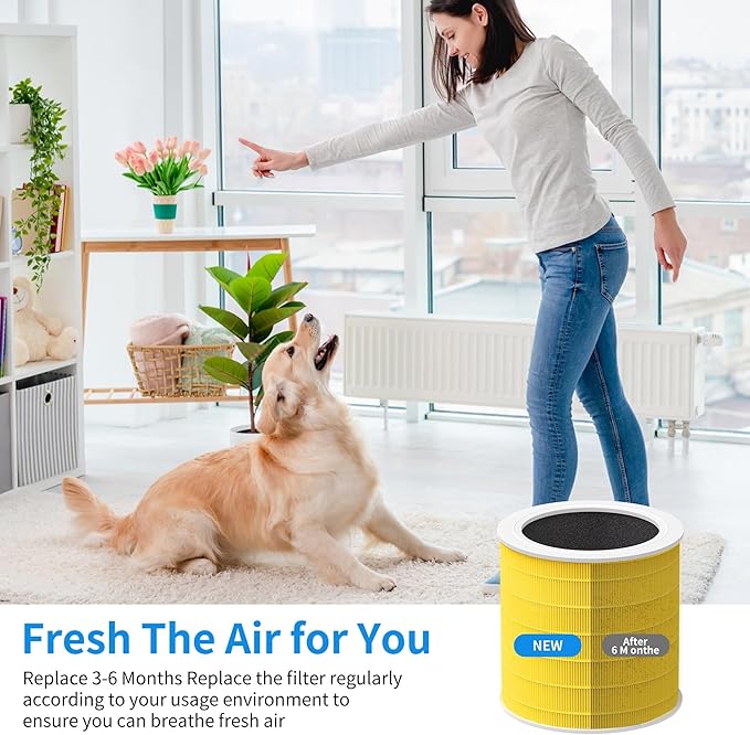 A2001 Replacement Filter H13 True HEPA Compatible with A2001 Air Purifier, 3-in-1 True HEPA, Activated Carbon Filter and Pets Pre-filter, Part# AF-2001
