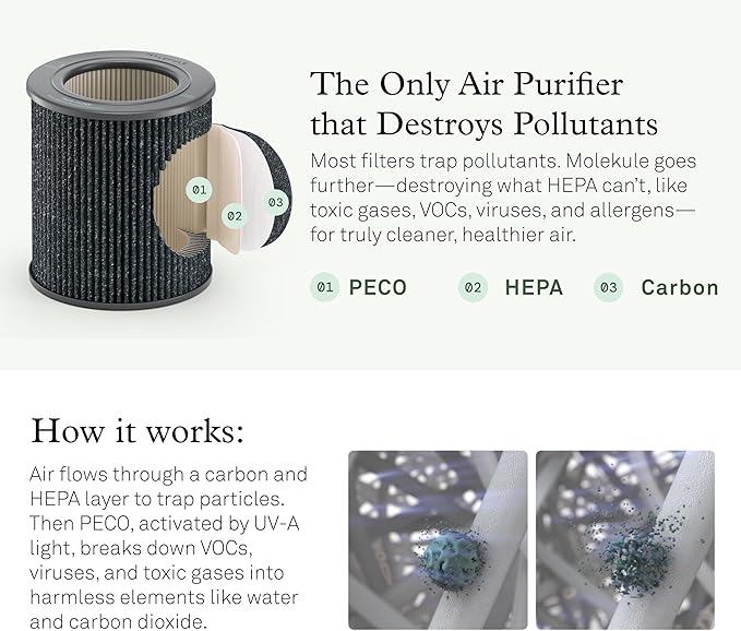Molekule Air Purifier Mini+ - Purifies Rooms Up to 250 Sq Ft - Smart Purifier with High Pollutant Capture Rate - Air Quality Monitoring Capabilities - White