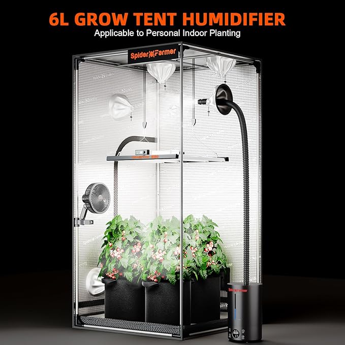 Spider Farmer 3-in-1 6L Humidifier Indoor with Timer & Hose Cool Mist Ultrasonic Humidifiers Large Room with Temperature & Humidity Probe for Plant Mushroom Greenhouse Bedroom Grow Tent Top Fill Black