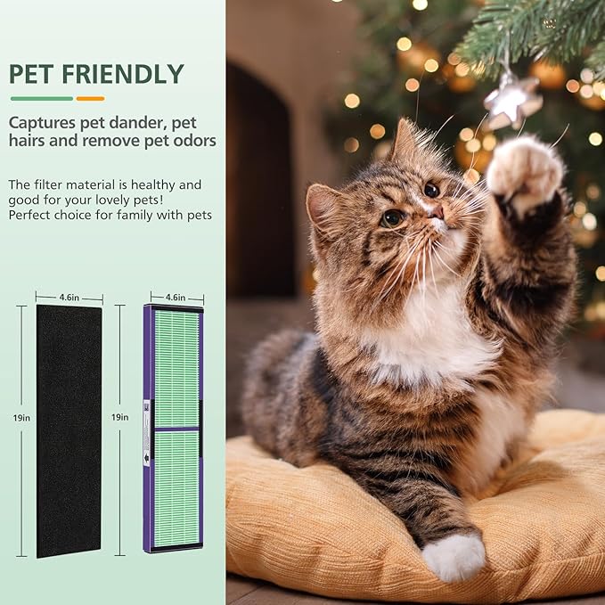 isinlive 2 Pack FLT5000 HEPA Filter C Replacement with Pet Pure Treatment, and 8 Pack Activated Carbon Pre-Filters for Ger Guardian Air Purifier FLT5111 AC5000 AC5000E AC5250PT AC5350B AC5350BCA