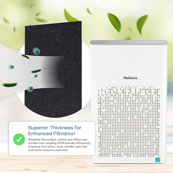Breathe Naturally - Hapf600 HEPA Carbon Filter Replacement for Holmes Air Purifiers - High Efficiency Carbon Air Cleaner Filters - Compatible with Holmes HAPF600 Series - (10 Pack Carbon Filter C)