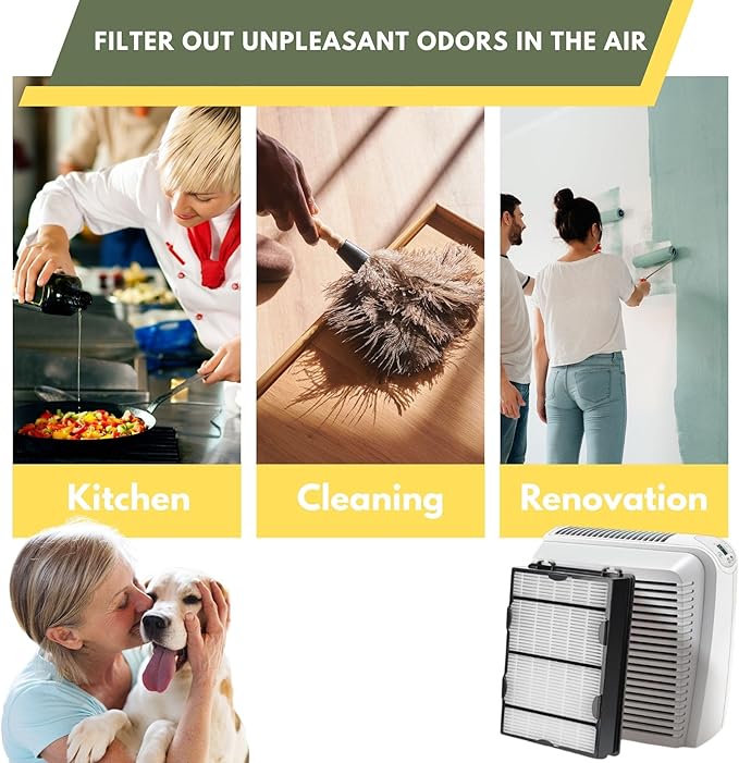 Nispira True HEPA (2) + Carbon Pre Filter Replacement (4) Compatible with Holmes Air Purifier HAPF600 HAPF600D HAPF600D-U2 Filter B