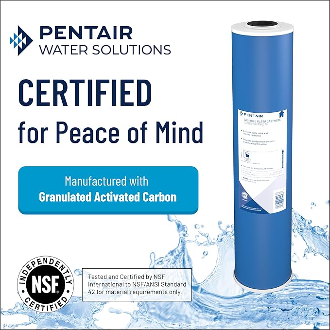 Pentair Pentek GAC-20BB Big Blue Carbon Water Filter, 20-Inch, Heavy Duty Granular Activated Carbon (GAC) Replacement Cartridge, 20" x 4.5"