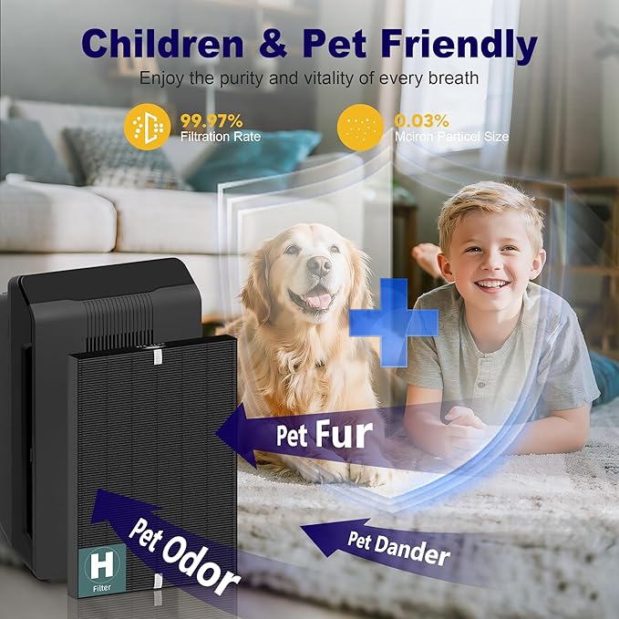 116130 Smoke Remover Replacement Filter H for Winix 5500-2 AM80 Plasmawave Air Purifier, True HEPA Filter and Activated Carbon Filter Combo Pack, 2 Set, Black