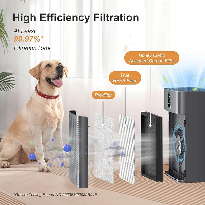 MORENTO Air Purifier for home Large Rooms up to 1076 ft2, Wi-Fi and Alexa compatible, PM2.5 Air Quality Display, Auto Mode, HEPA Filter Removes Dust, Pollen, Smoke 1 Pack +2 Pack Filters(Gray)