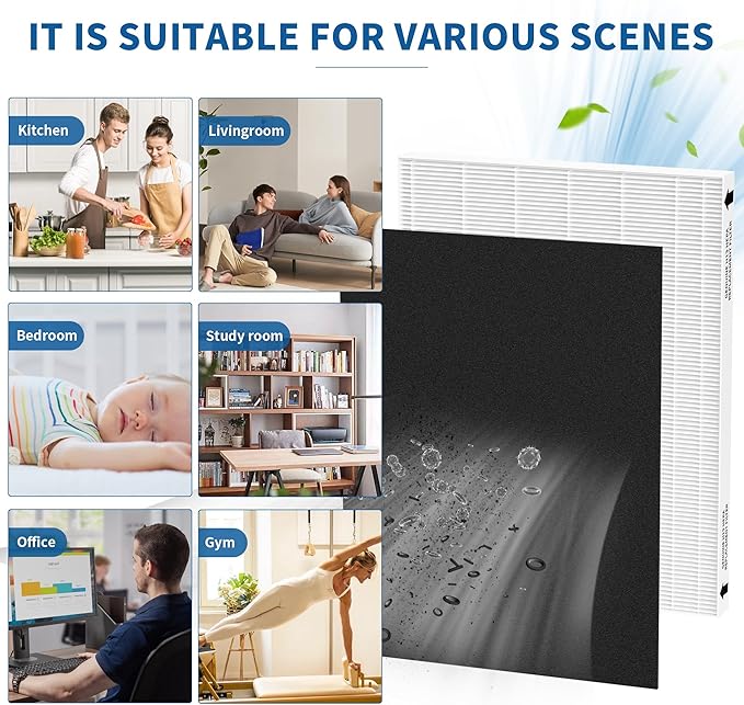 2 Packs Aeramax 300 HEPA Filter Replacement Compatible with Fellowes AeraMax 290 300 DX95 and HF-300 AP-300PH Air Cleaner Purifier, Part# 9287201, 2 Main Filters + 6 Activated Carbon Pre-filters