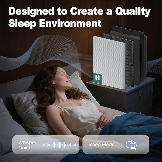 116130 Replacement Filter H for Winix 5500-2 AM80 Plasmawave Air Purifier, True HEPA Filter and Activated Carbon Filter Combo Pack, 2 Set