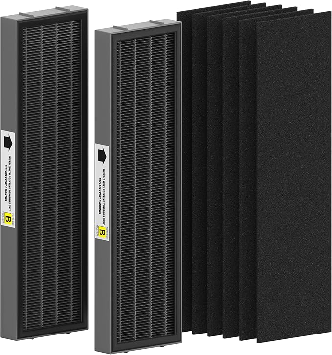 Filter B Smoke Clear HEPA Replacement Compatible with AC4825 AC4300 AC4800 AC4900 AC4850, 2 True HEPA Filters & 6 Activated Carbon Pre-Filters, FLT4825SM, Black/Gray