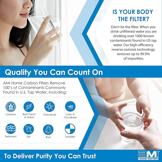 Inline Carbon Water Filter | 10" Length | 1/4" Threaded Female In/Out | For Chlorine Taste & Odor or Post Filter for Home RO | RO Stage 5 Polishing Filter (1, 1/4" Female Threade)