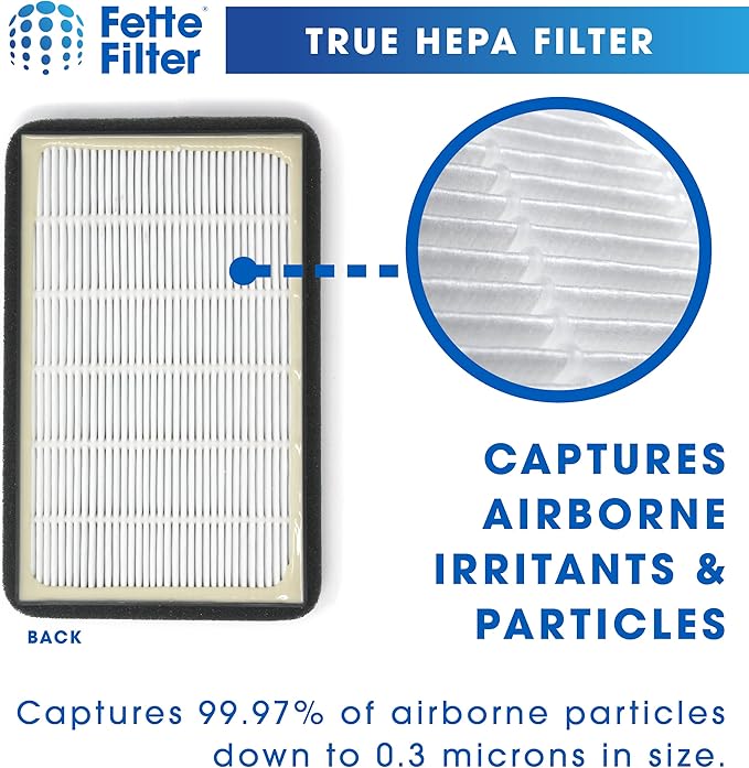 Fette Filter - FLT4010 Replacement Filter Compatible with GermGuardian Filter A for Models AC4010 & AC4020 Series and Black + Decker Model BXAP040 Air Purifiers - Pack of 2