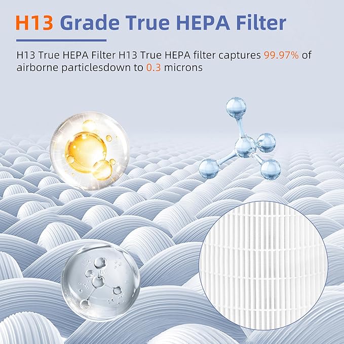12010 HEPA Replacement Filter for Clorox Large Room Air Purifier 11010 & 11011,3-in-1 H13 True HEPA with Activated Carbon Filter,2 Pack